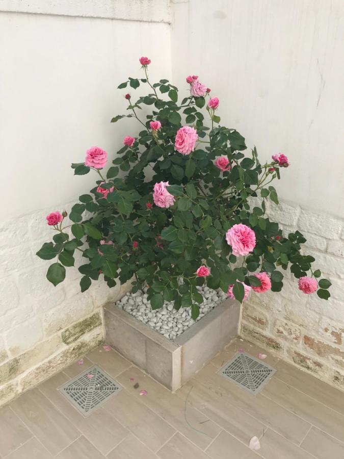 مبيت وإفطار ألبيروبيللو Nido Di Pietra-Dimora In Centro المظهر الخارجي الصورة